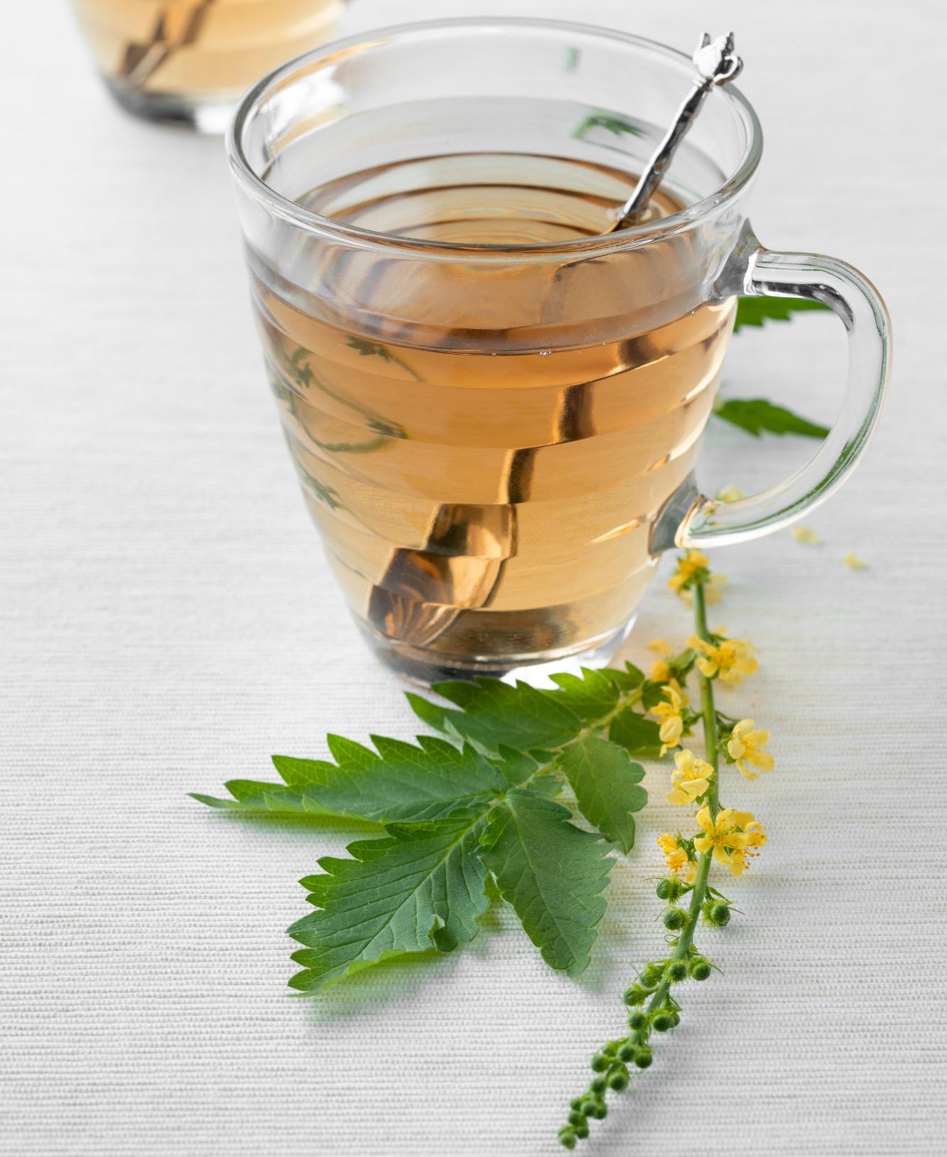 glass-cups-with-agrimony-tea-SSHNAQ9 (1)